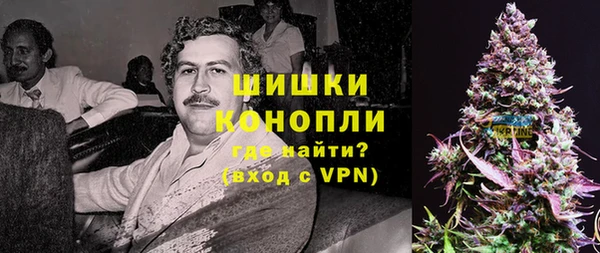 спайс Нея