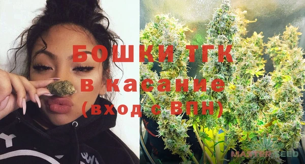 спайс Нея